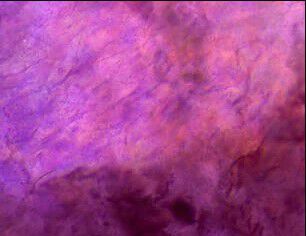 Ingrediente Extrato de Arroz Roxo