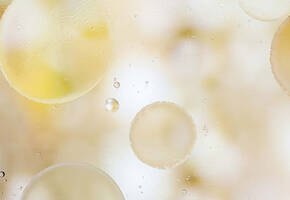 Paraben Free